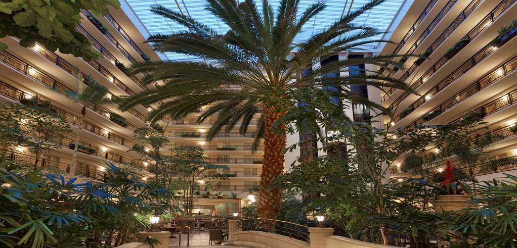 Embassy Suites San Francisco Airport - South San Francisco Interno foto
